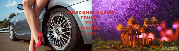 гашик Алексеевка