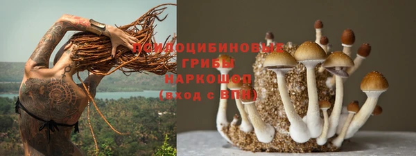 гашик Алексеевка
