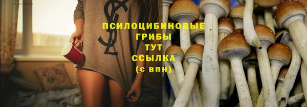 эйфоретик Алексин